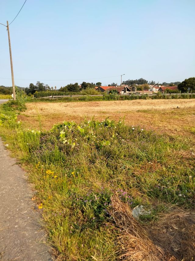 Terreno urbanizable 3800m²