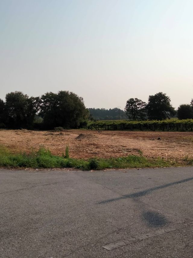 Terreno urbanizable 3800m²