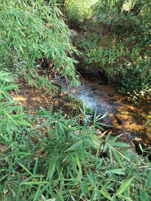 Terreno urbanizable 3800m²