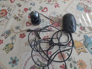 Webcam Trust PC e Mouse con cavo USB