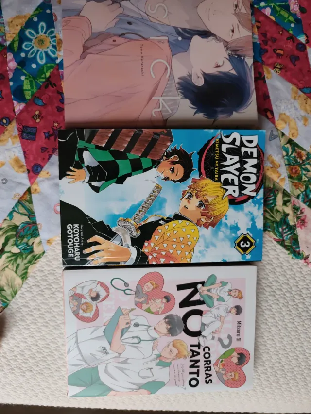 Libros mangas el precio es por los tres libros