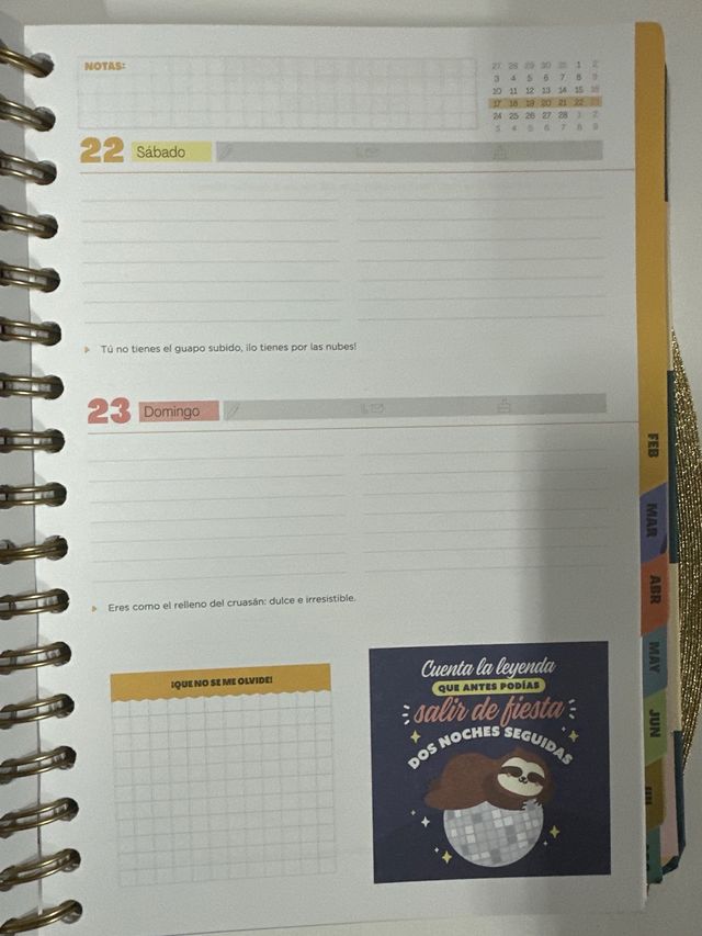 Agenda Mr. Wonderful 2024-2025