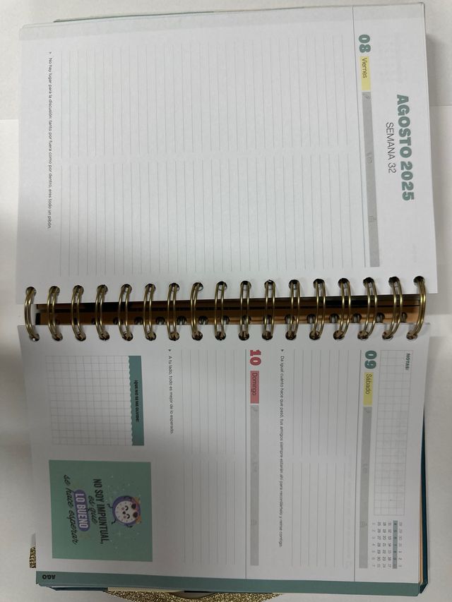 Agenda Mr. Wonderful 2024-2025