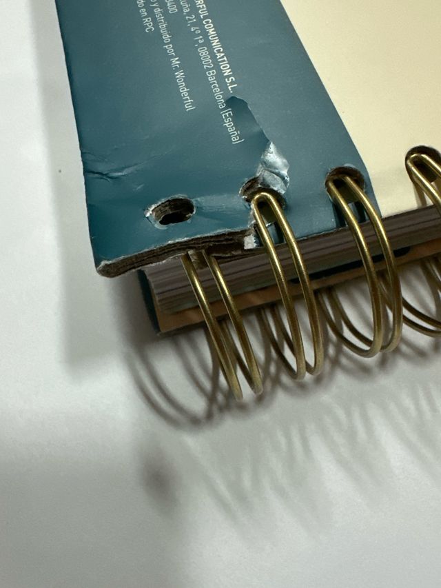 Agenda Mr. Wonderful 2024-2025