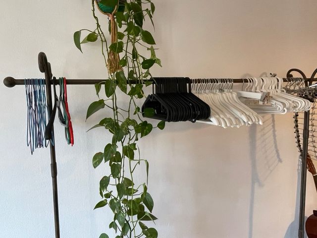 Lote de perchas. Stock de perchas variadas