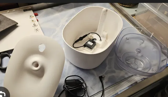 Fontanella per gatti