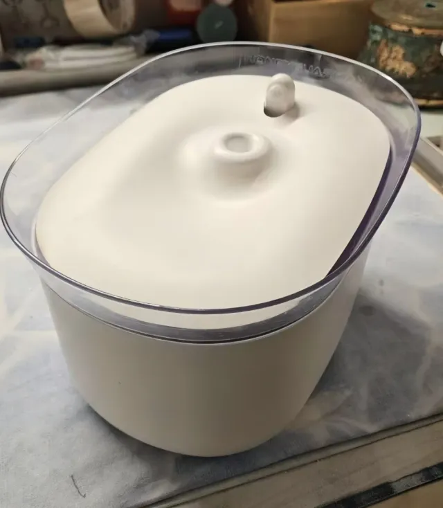 Fontanella per gatti