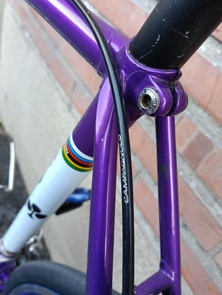 Bicicleta Colnago Morada.