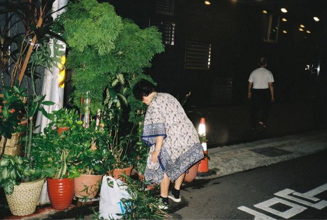 Canon Sure Shot Supreme - fotocamera 35mm compatta