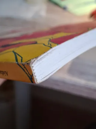 Diario Dun Xove Maniático