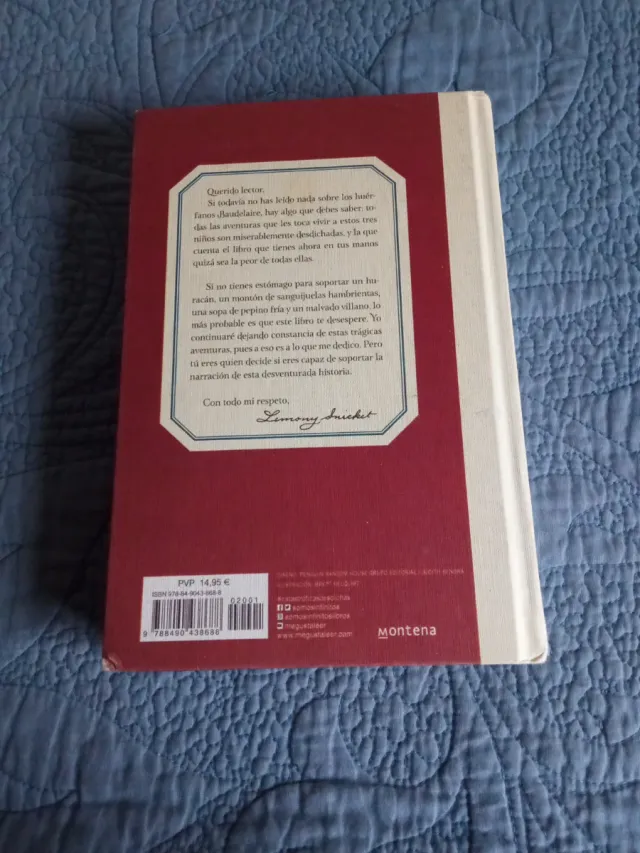 El ventanal (Una serie de catastróficas desdich...