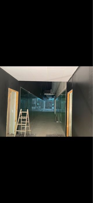 Pintor profesional     632473749