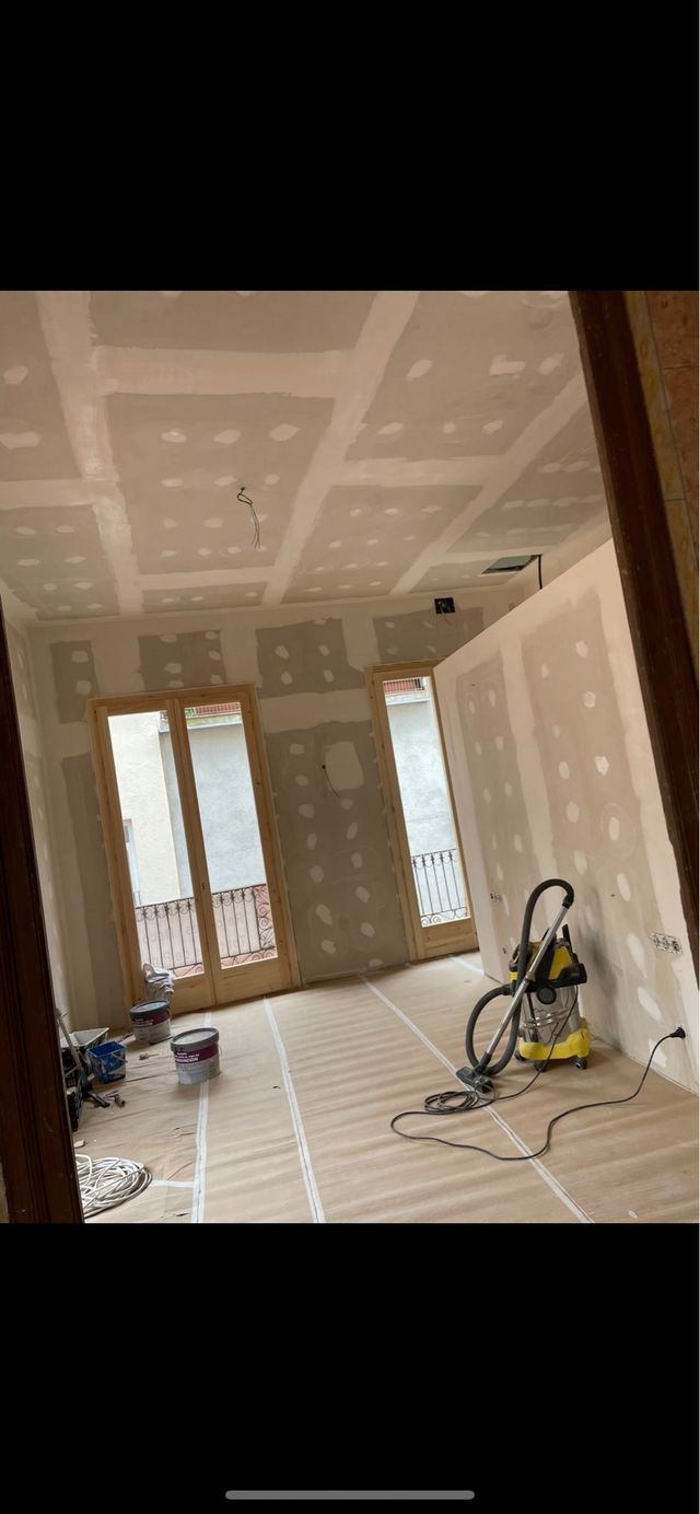 Pintor profesional     632473749