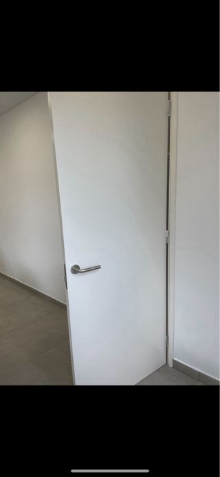 Pintor profesional     632473749