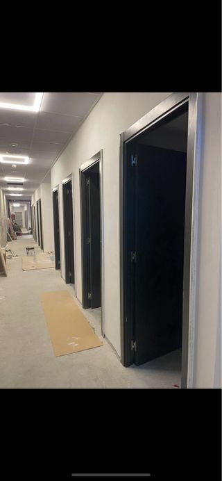 Pintor profesional     632473749