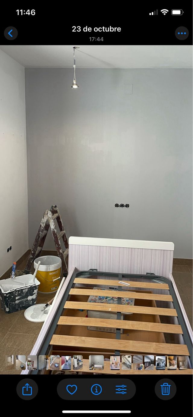 Pintor profesional     632473749