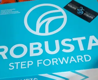 Zapatos de seguridad Robusta