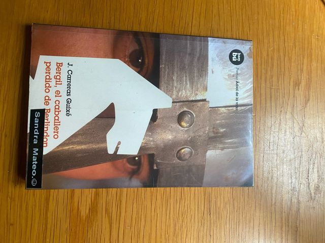 Bergil, el caballero perdido de Berlindon (Gran...