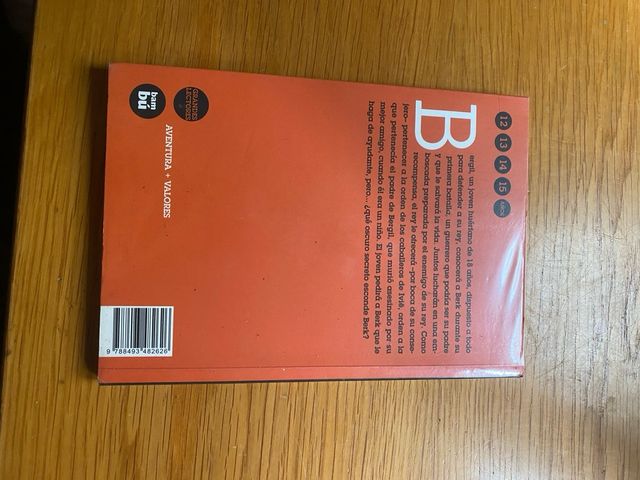 Bergil, el caballero perdido de Berlindon (Gran...