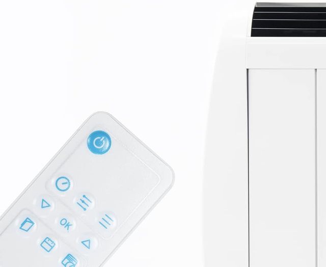 Cecotec Radiador Eléctrico 900W Bajo Consumo