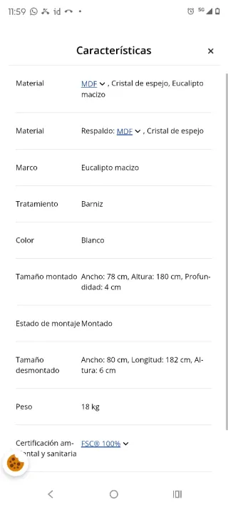 Espejo SKOTTERUP 78x180 Blanco