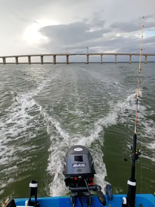 Motor fueraborda Sail 9.9cv 4T