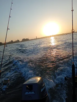 Motor fueraborda Sail 9.9cv 4T