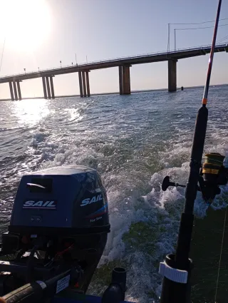 Motor fueraborda Sail 9.9cv 4T