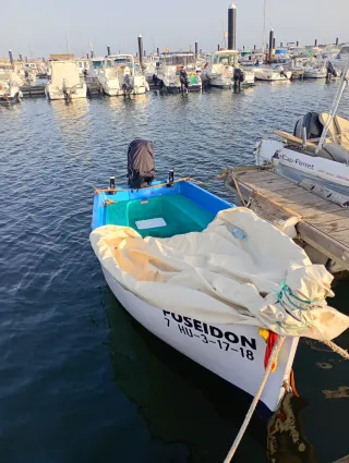 Motor fueraborda Sail 9.9cv 4T