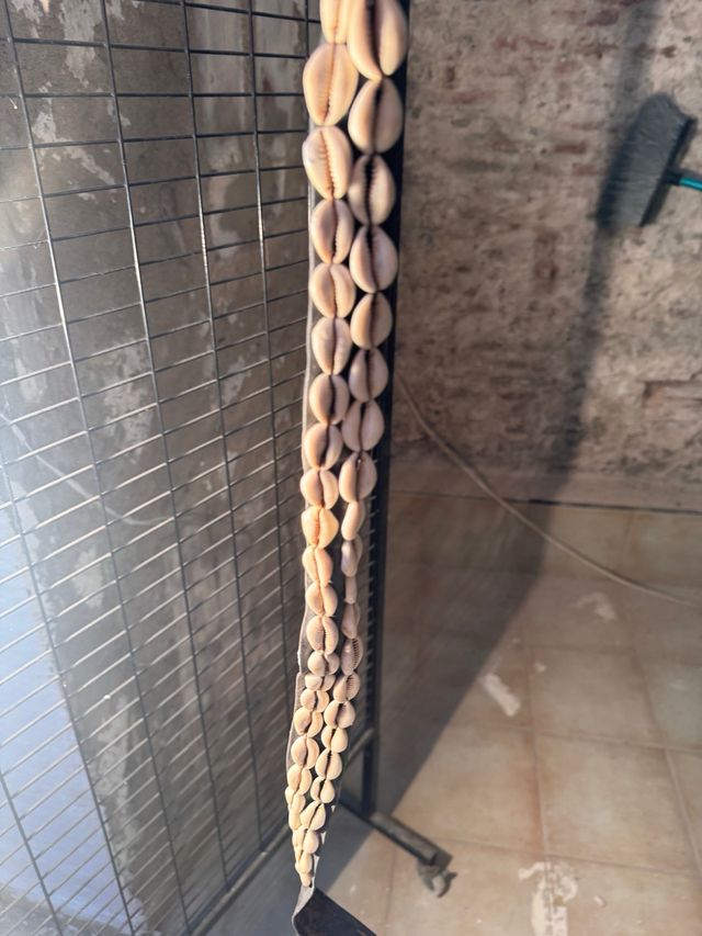 Cinturón de conchas de moda color negro