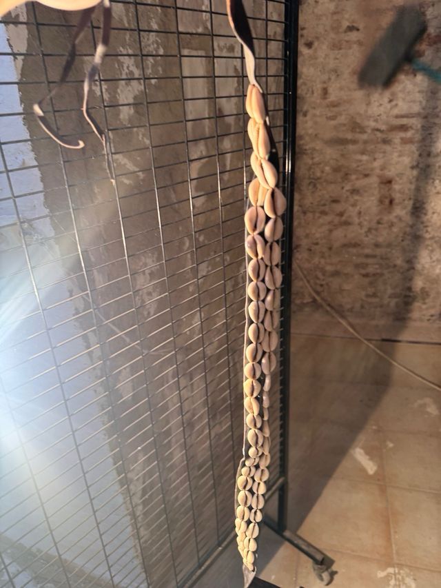 Cinturón de conchas de moda color negro