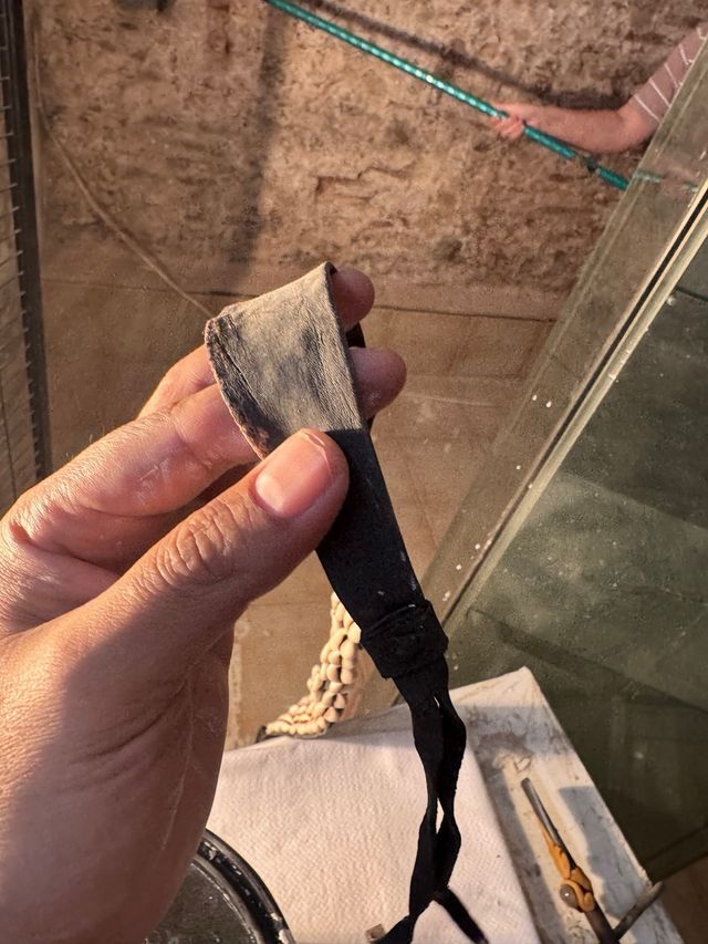 Cinturón de conchas de moda color negro