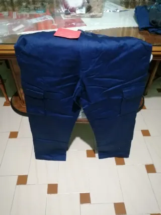 Pantalón de trabajo multibolsillos azul