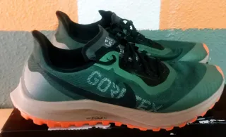 Nike Pegasus 36 Trail Gore-Tex