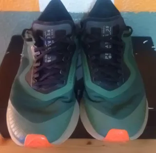 Nike Pegasus 36 Trail Gore-Tex