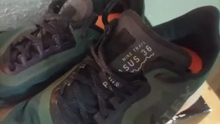 Nike Pegasus 36 Trail Gore-Tex