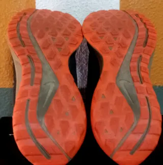 Nike Pegasus 36 Trail Gore-Tex