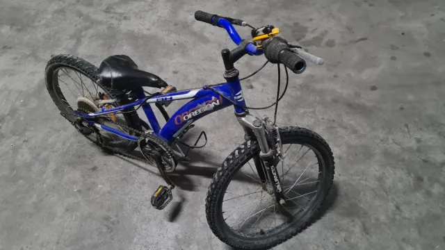 Bicicleta BH Oregon 20