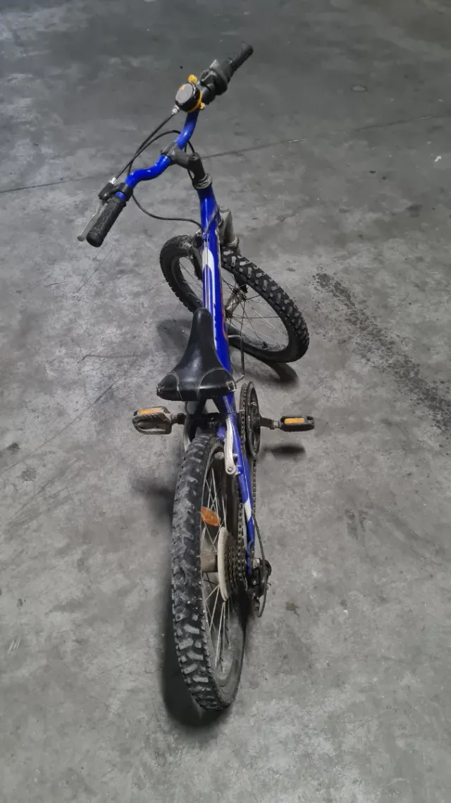 Bicicleta BH Oregon 20