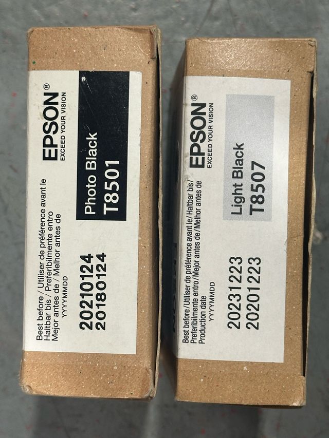 Cartuchos T8501 T8507 Photo Black, Light Black