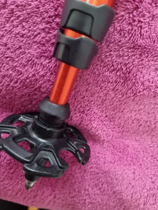 Bastón Trekking Arpenaz 200 Ajustable