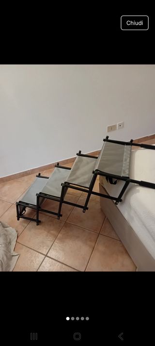 Scala pieghevole per cani