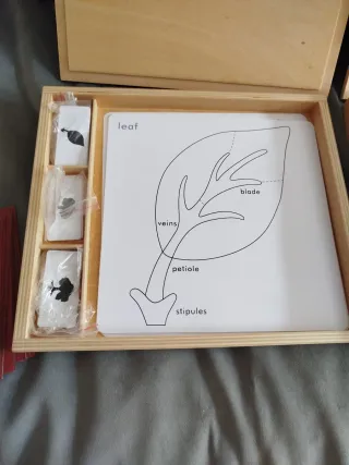 Caja Madera Tarjetas Botánica y animales