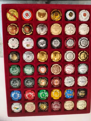 42 Chapas de Cava Variadas