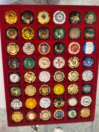 42 Chapas de Cava Variadas