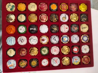 42 Chapas de Cava Variadas