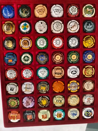 42 Chapas de Cava Variadas