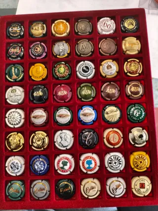 42 Chapas de Cava Variadas