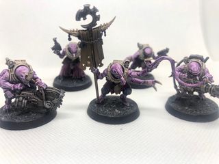 Metamorfos Híbridos / híbridos acólitos Pintados 2