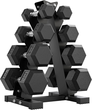 Set di Manubri da Palestra con Supporto, 2x2kg, 2x